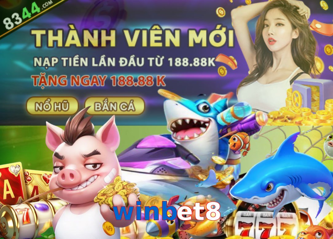 winbet8