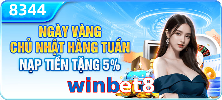 winbet8