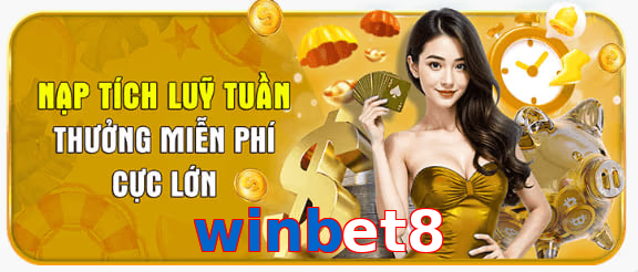 winbet8