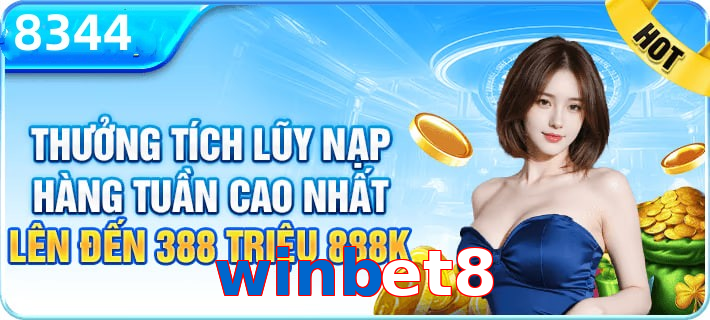 winbet8