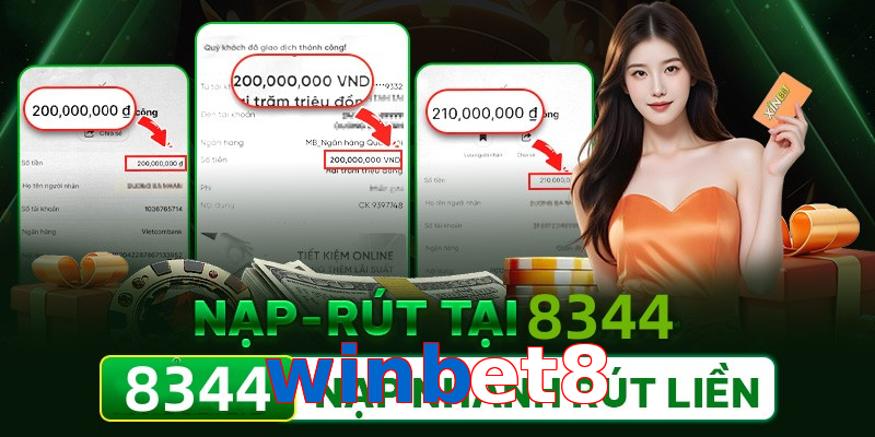 winbet8